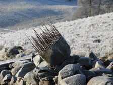 Andy-Goldsworthy_Thorn-Stone
