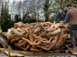 Andy Goldsworthy - Split Oak Wood