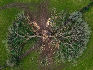 Andy Goldsworthy - Split Oak Wood