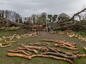 Andy Goldsworthy - Split Oak Wood