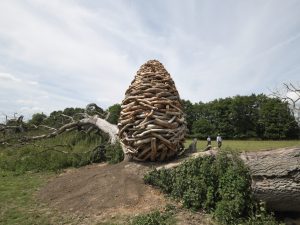 Andy Goldsworthy - Split Oak Wood