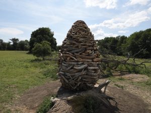 Andy Goldsworthy - Split Oak Wood