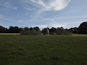 Andy Goldsworthy - Split Oak Wood