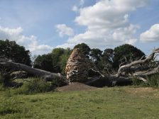 Andy Goldsworthy - Split Oak Wood