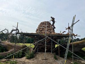 Andy Goldsworthy - Split Oak Wood
