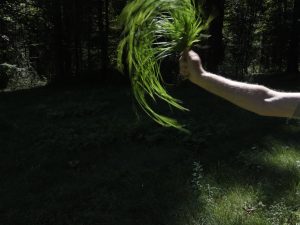 Andy Goldsworthy - Seaweed, Grass and Ferns