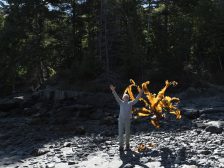 Andy Goldsworthy - Thirty-Six Kelp Throws