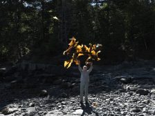 Andy Goldsworthy - Thirty-Six Kelp Throws