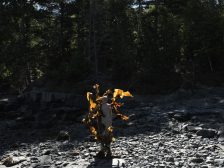 Andy Goldsworthy - Thirty-Six Kelp Throws