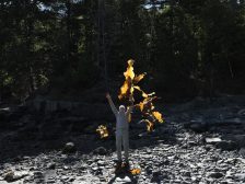 Andy Goldsworthy - Thirty-Six Kelp Throws
