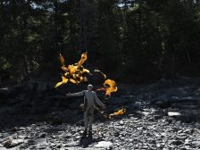 Andy Goldsworthy - Thirty-Six Kelp Throws