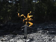 Andy Goldsworthy - Thirty-Six Kelp Throws