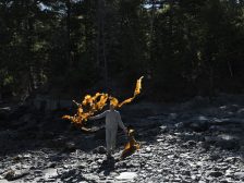 Andy Goldsworthy - Thirty-Six Kelp Throws