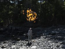 Andy Goldsworthy - Thirty-Six Kelp Throws