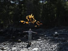 Andy Goldsworthy - Thirty-Six Kelp Throws