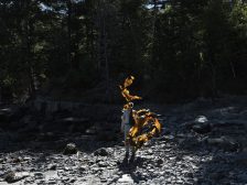 Andy Goldsworthy - Thirty-Six Kelp Throws