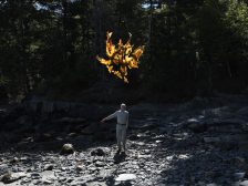 Andy Goldsworthy - Thirty-Six Kelp Throws