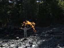 Andy Goldsworthy - Thirty-Six Kelp Throws