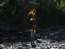 Andy Goldsworthy - Thirty-Six Kelp Throws