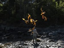 Andy Goldsworthy - Thirty-Six Kelp Throws