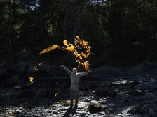 Andy Goldsworthy - Thirty-Six Kelp Throws