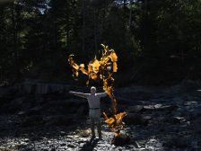 Andy Goldsworthy - Thirty-Six Kelp Throws