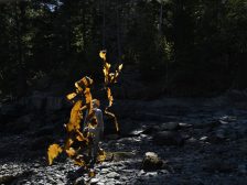 Andy Goldsworthy - Thirty-Six Kelp Throws
