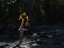 Andy Goldsworthy - Thirty-Six Kelp Throws