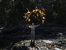 Andy Goldsworthy - Thirty-Six Kelp Throws