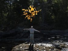 Andy Goldsworthy - Thirty-Six Kelp Throws