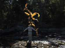 Andy Goldsworthy - Thirty-Six Kelp Throws