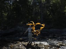 Andy Goldsworthy - Thirty-Six Kelp Throws