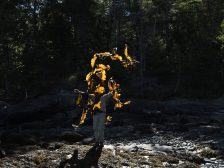 Andy Goldsworthy - Thirty-Six Kelp Throws