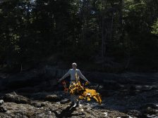 Andy Goldsworthy - Thirty-Six Kelp Throws