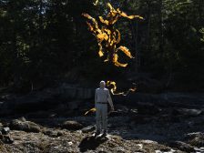 Andy Goldsworthy - Thirty-Six Kelp Throws