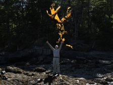 Andy Goldsworthy - Thirty-Six Kelp Throws