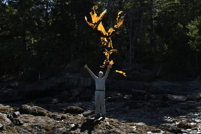 Andy Goldsworthy - Thirty-Six Kelp Throws