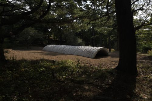 Andy Goldsworthy - Wave