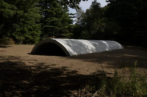 Andy Goldsworthy - Wave