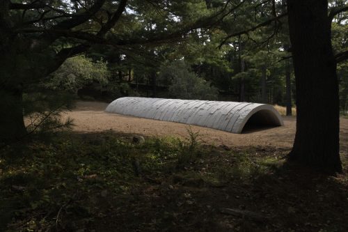 Andy Goldsworthy - Wave