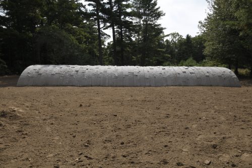 Andy Goldsworthy - Wave