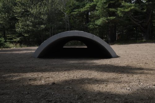 Andy Goldsworthy - Wave