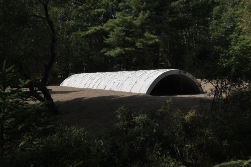 Andy Goldsworthy - Wave