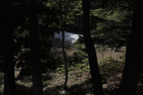 Andy Goldsworthy - Wave