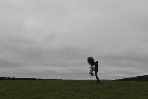 Andy Goldsworthy - For Andrew McKinna