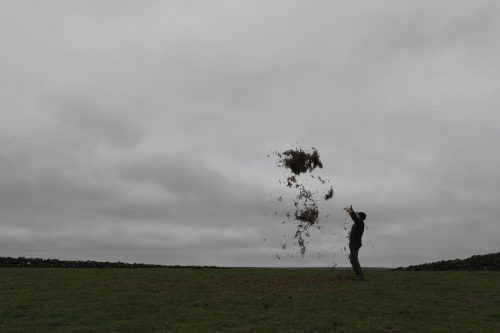 Andy Goldsworthy - For Andrew McKinna