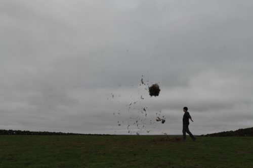 Andy Goldsworthy - For Andrew McKinna
