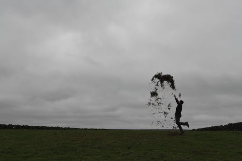 Andy Goldsworthy - For Andrew McKinna