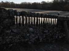 Andy Goldsworthy - Barbed Wire Icicles