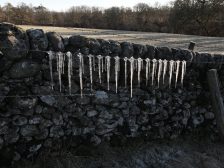 Andy Goldsworthy - Barbed Wire Icicles